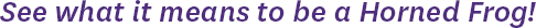 See what it means to be a Horned Frog!